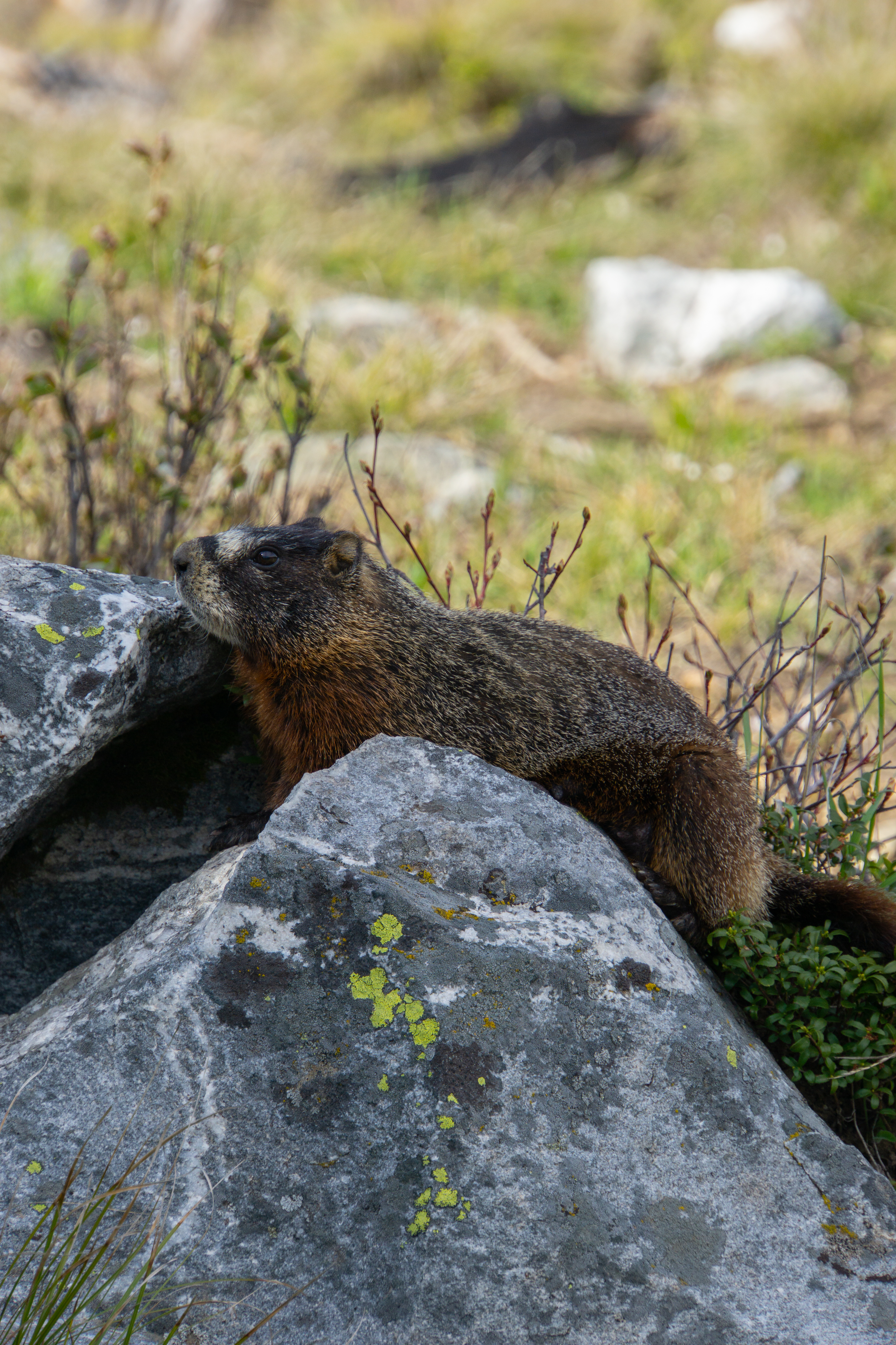 US National Parks 2022 40